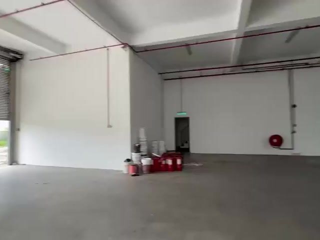 Video Image 1