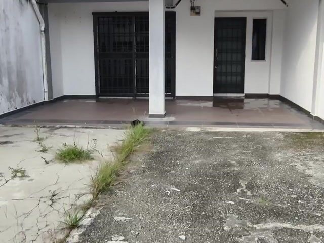 Video Image 1