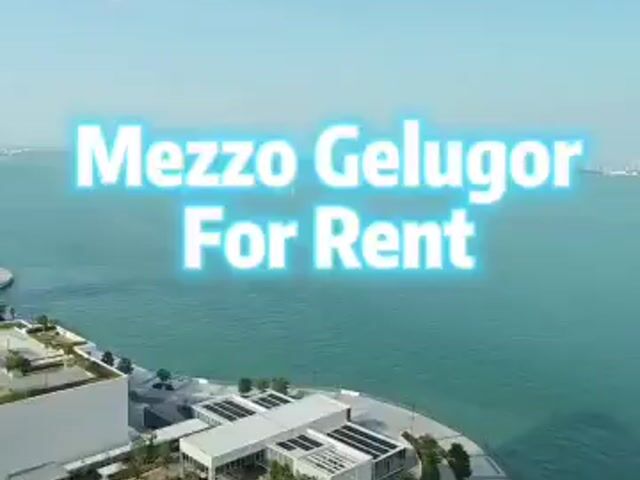Video Image 1