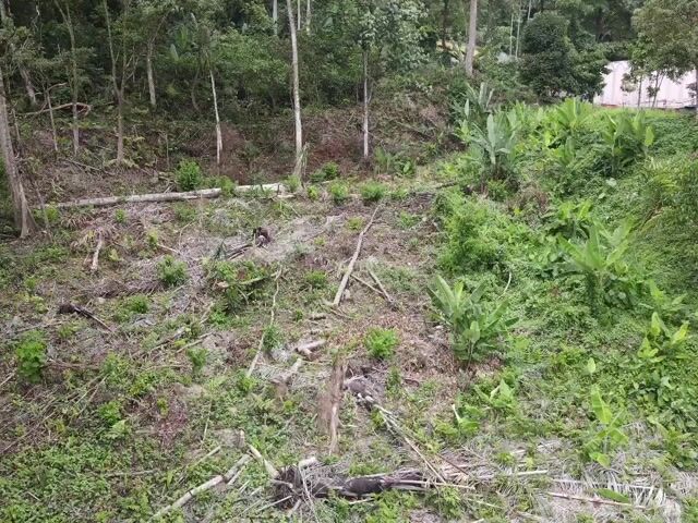Video Image 1