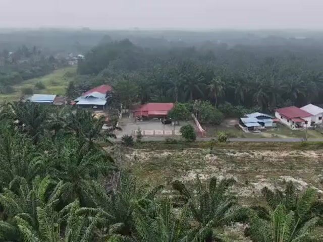Video Image 1