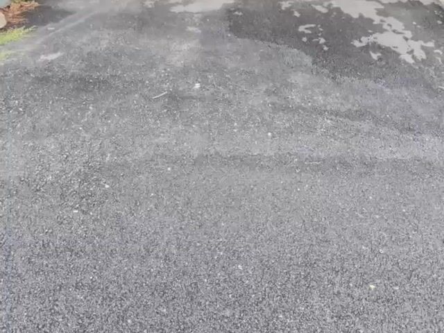 Video Image 1