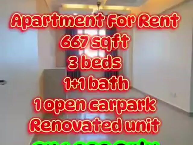 Video Image 1