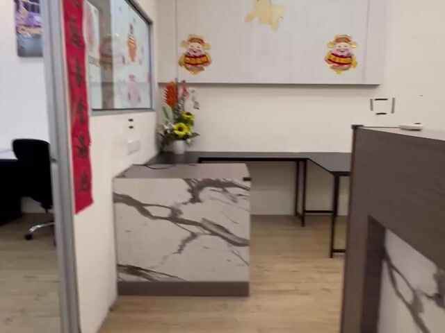 Video Image 1
