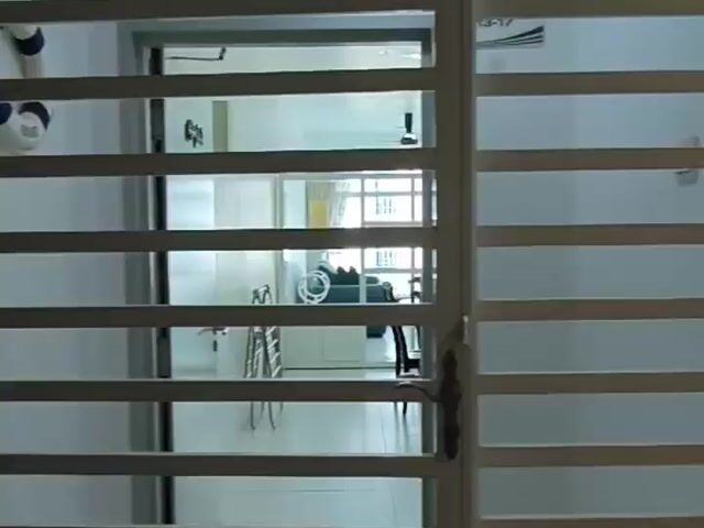 Video Image 1