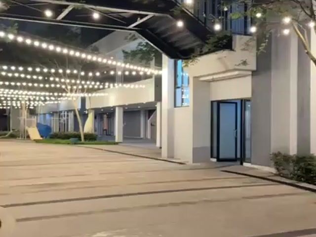 Video Image 1