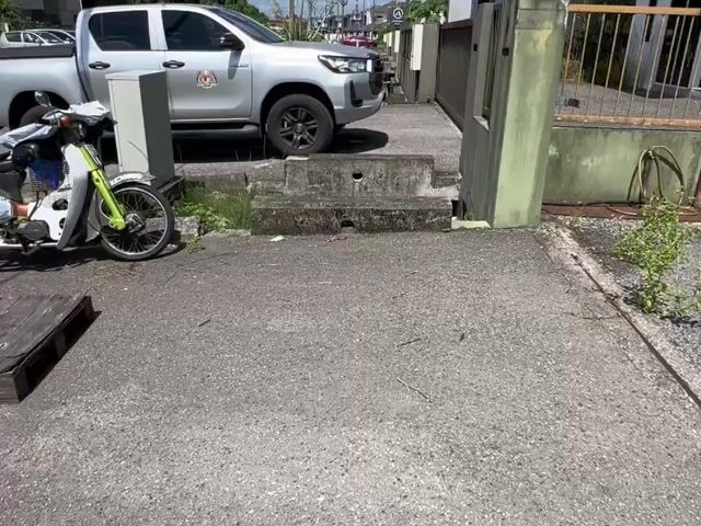 Video Image 1