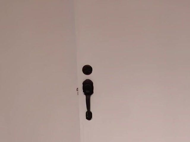 Video Image 1