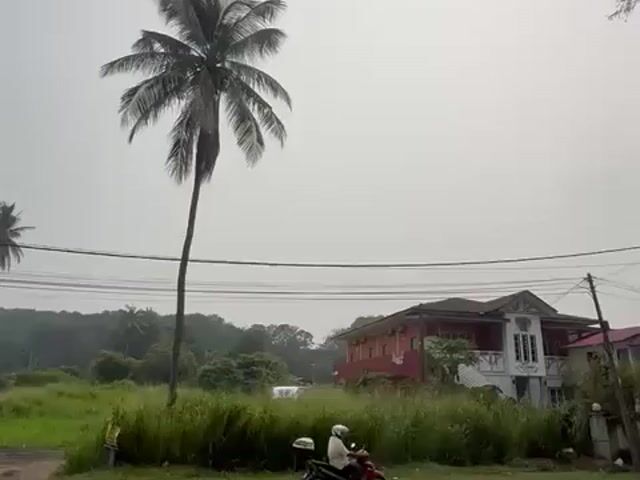 Video Image 1