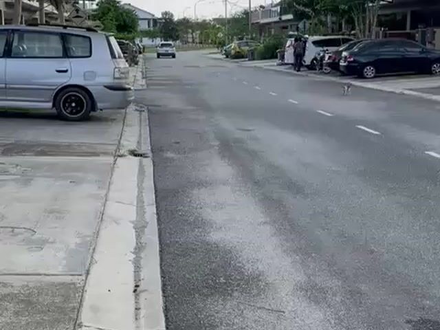 Video Image 1