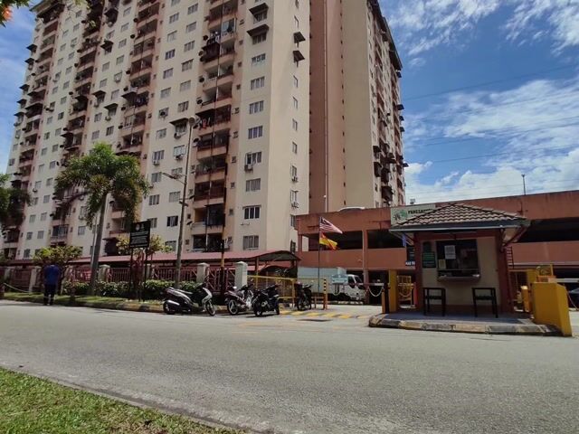 Video Image 1