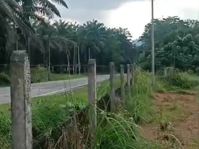 Video Image 1