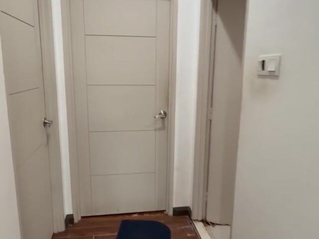 Video Image 1