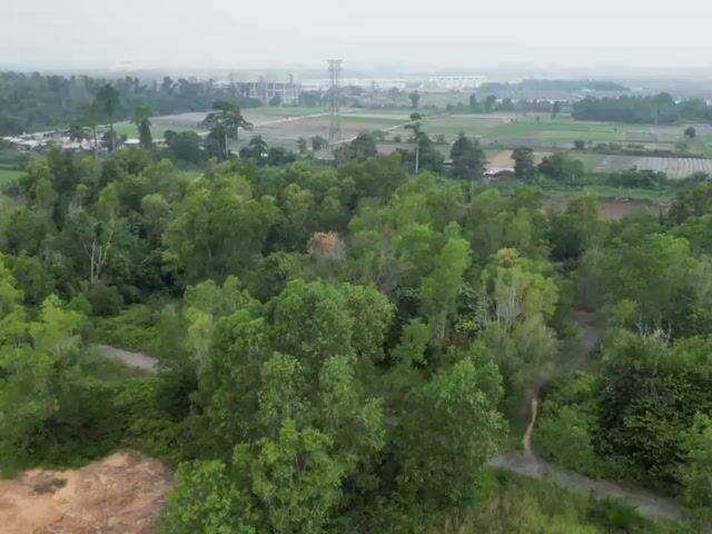 Video Image 1