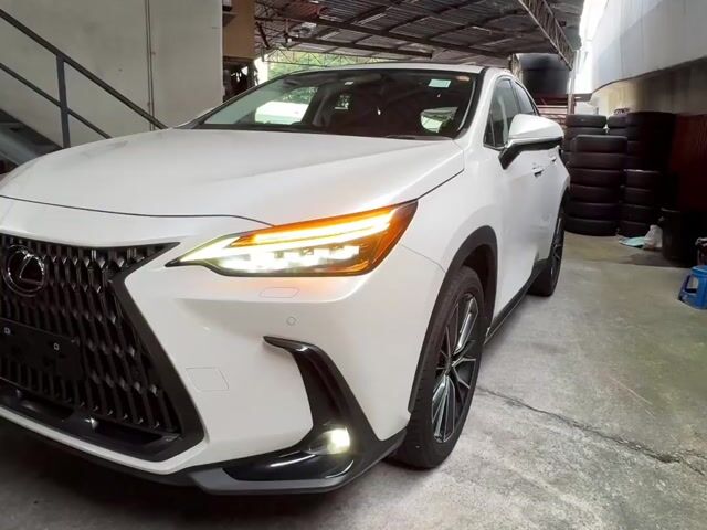 Lexus NX250 2.5 VL 5A BLACK SEAT 23 UNREG LIKE NEW - 1