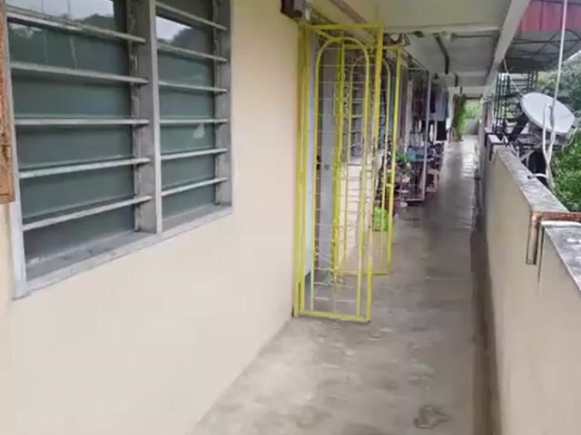 Video Image 1