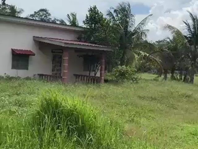 Video Image 1