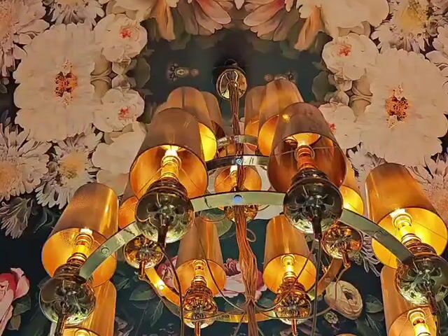 Video Image 1