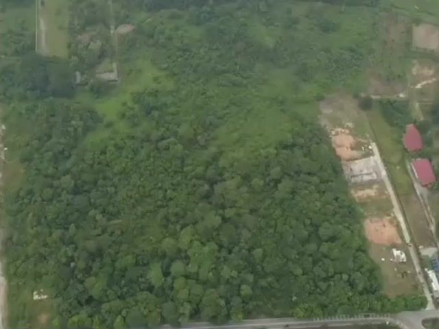 Video Image 1