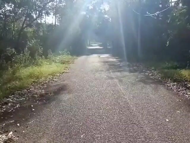 Video Image 1