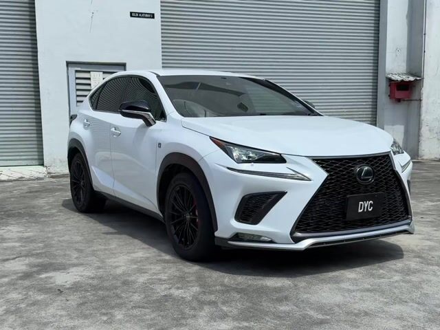 2018 Lexus NX300 2.0 F SPORT (A) - 1