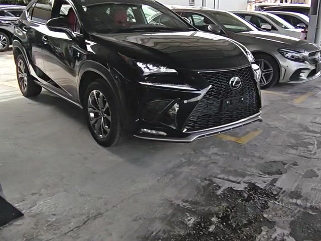 2021 Lexus NX300 2.0 F SPORT (A) #5A - 1