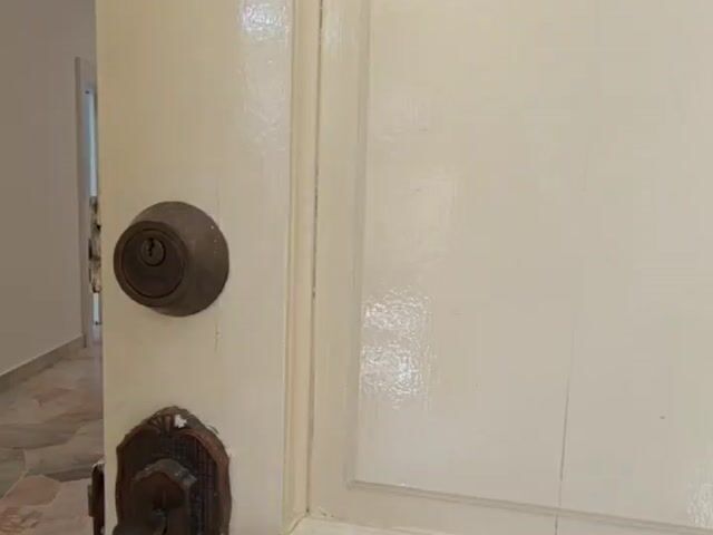 Video Image 1