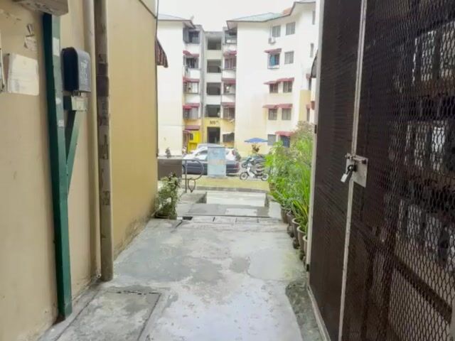 Video Image 1