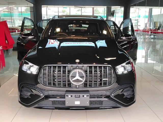 435hp 560nm BURMESTER PANORAMIC MICHELIN 7 SEATER - 1