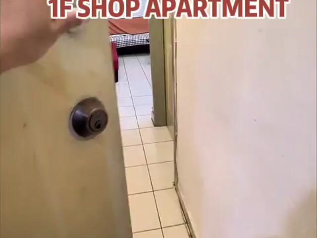 Video Image 1