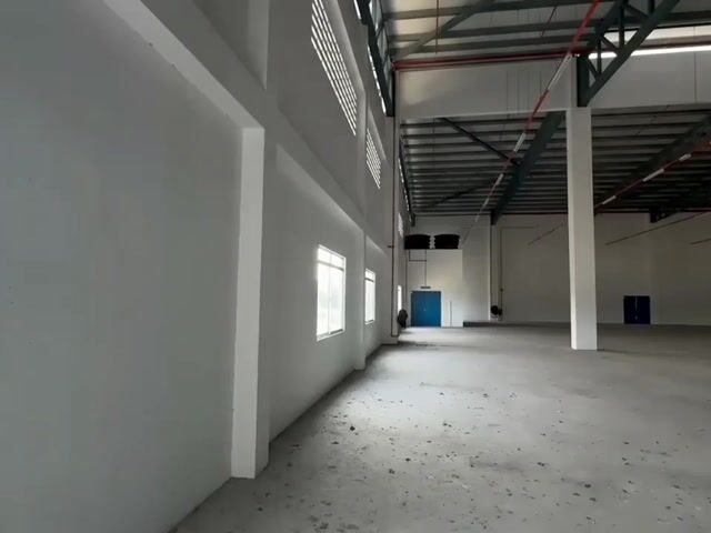 Video Image 1