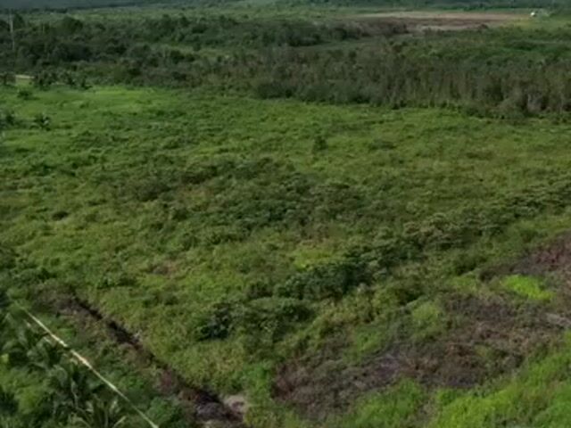 Video Image 1