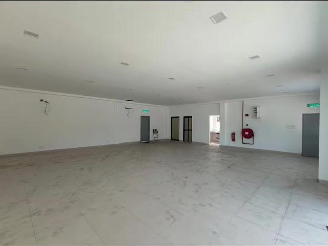 Video Image 1