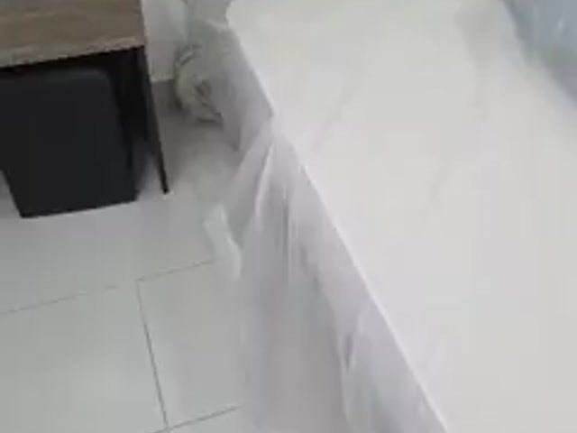 Video Image 1