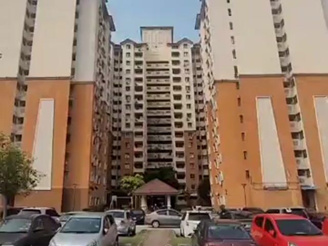 Video Image 1