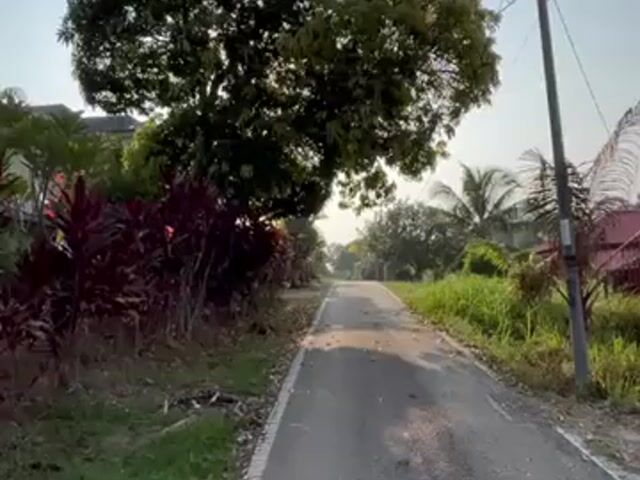 Video Image 1