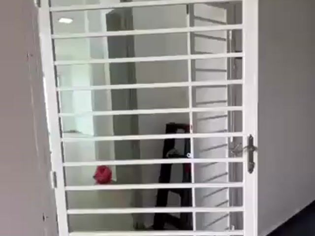 Video Image 1