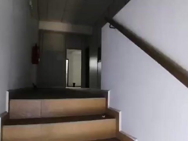 Video Image 1