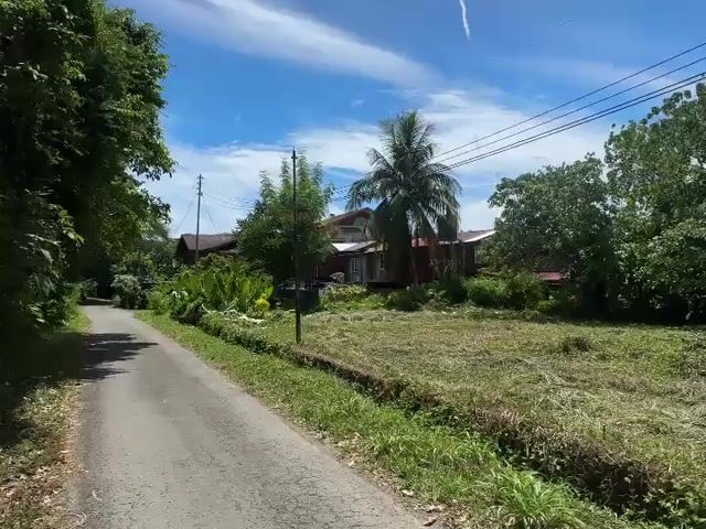 Video Image 1