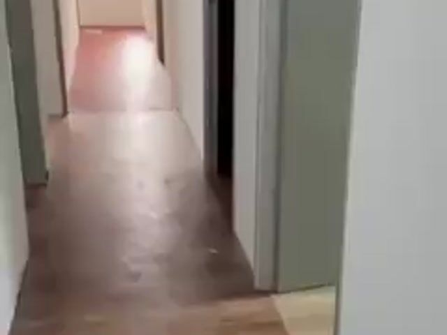 Video Image 1