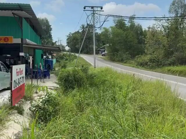Video Image 1