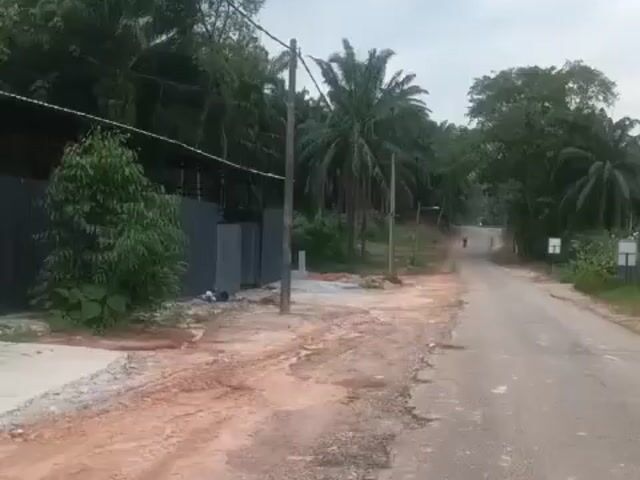 Video Image 1
