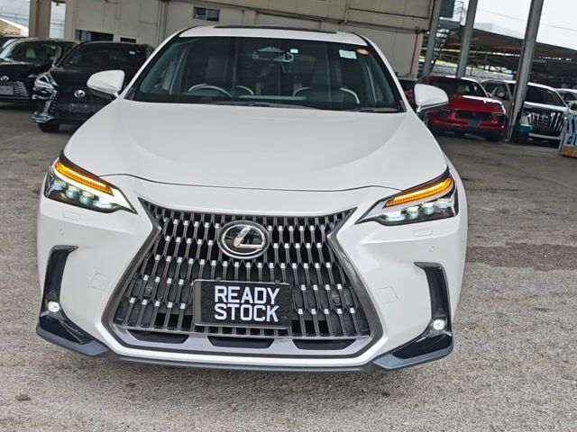 2023 Lexus NX250 2.5 LUXURY (A) 5A BLACK LEATHER - 1