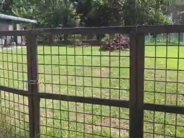 Video Image 1