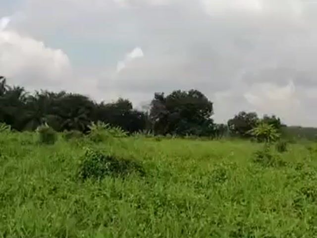 Video Image 1
