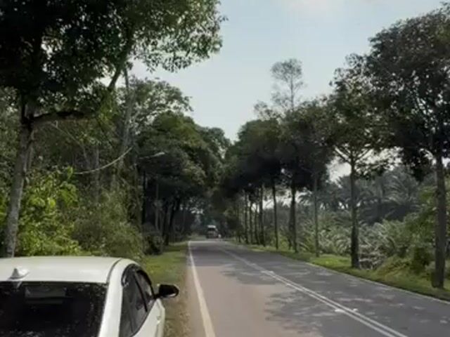 Video Image 1