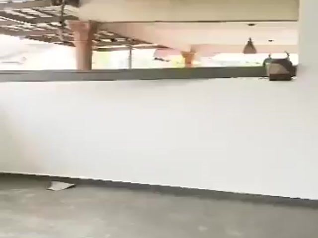 Video Image 1