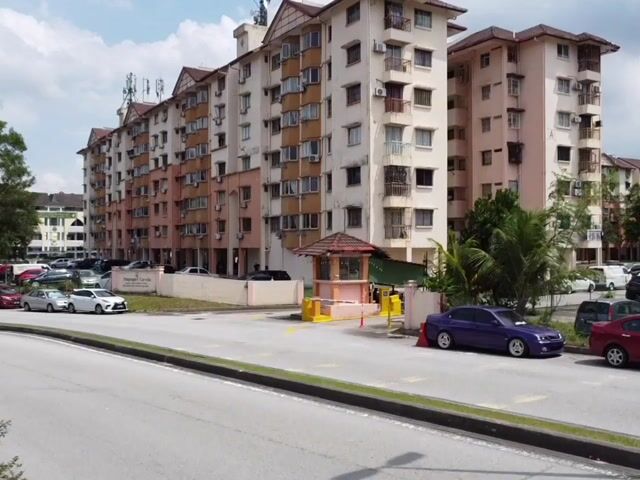 Video Image 1