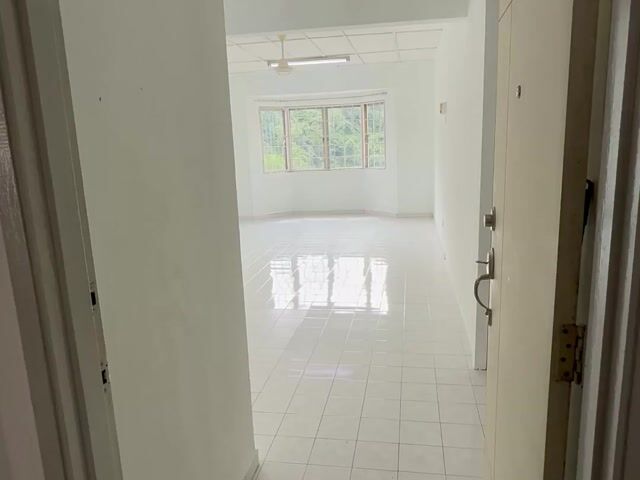 Video Image 1