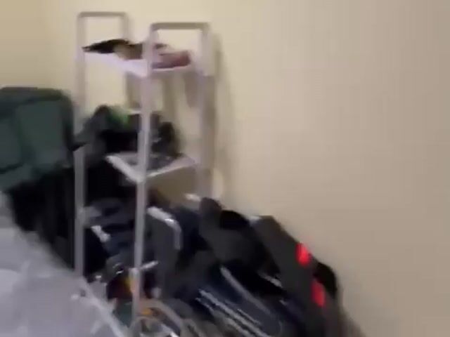 Video Image 1